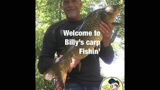 Massive NJ River Carp [upl. by Acirred]