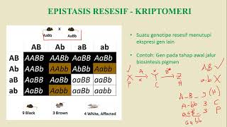 Genetika Extension dan Genetika Populasi [upl. by Erodaeht]