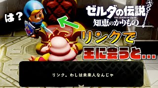 バグでリンクで無理やり王に会うと絶対に言わないセリフが出てきて鳥肌が立った【ゼルダの伝説知恵のかりもの】【知恵のかりもの】 [upl. by Yenitirb]