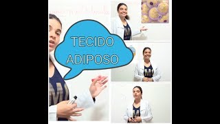 Tecido adiposo pardo multilocular e unilocular [upl. by Nylorac]