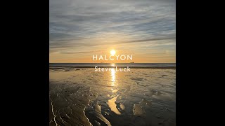 Halcyon  Official Music video [upl. by Rainah673]