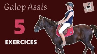 Galop assis  Comment bien sasseoir au galop  5 Exercices [upl. by Ibib]