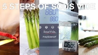 ChefSteps • 5 Steps of Sous Vide Cooking [upl. by Concordia678]