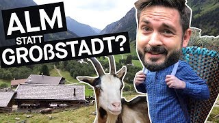 Selbstversuch Alm statt Großstadt – wie ist das wirklich  PULS Reportage [upl. by Ahseniuq344]