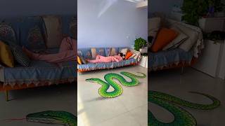 Snake painting  New Viral Gadgets Smart Appliances Kitchen Utensils Home Inventions shorts [upl. by Padriac675]