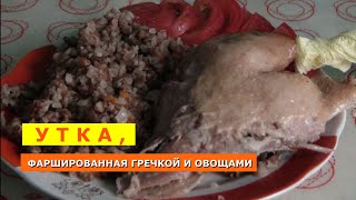 Утка фаршированная гречкой и овощами запеченная в рукаве с добавлением яблок [upl. by Sekoorb]