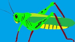 Sonido del saltamontes  Sound of the Grasshopper [upl. by Trillby688]