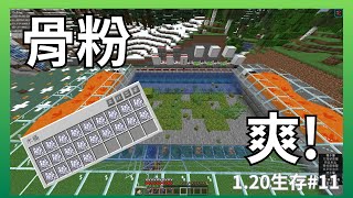 骨粉乃是農業基石 Minecraft 120生存 銀雷 11 [upl. by Elrod]