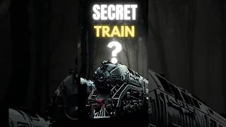 India ki secret train jo dikhti he saal me ek baar trendingnews shockingnews shockedfacts [upl. by Jaclin1]