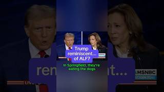 Trump reminiscent… of ALF [upl. by Thera]