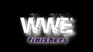 WWE top 20 finishers 2013 [upl. by Larentia]