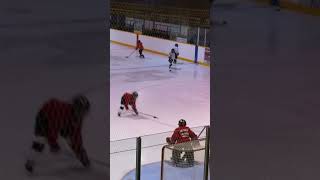 Zac bell Michigan lacrosse goal 7 years old [upl. by Misty]