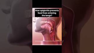 How epiglottitis help us  shorts epiglottitis [upl. by Mccreary]