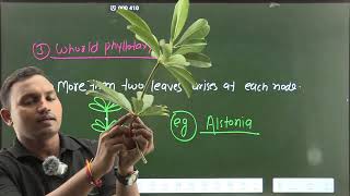 LEC03 MORPHOLOGY OF FLOWERING PLANTS by AVINASH GOYAL SIR [upl. by Ot]