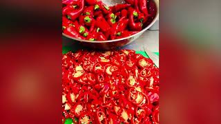 My Home Made Sambal Oelek Chili Paste [upl. by Tremayne490]