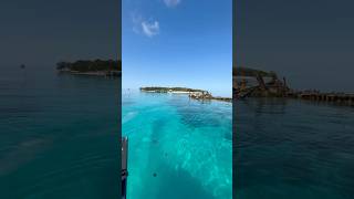 How’s the water around Heron Island Great Barrier Reef [upl. by Hurwit]