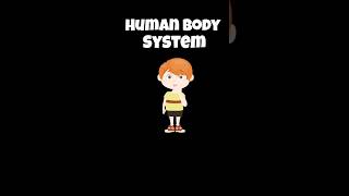 Human Body SystemScience for kidsInside human bodyMuscular SystemSkeletal System humanbody [upl. by Avik]