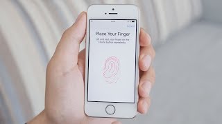 How Does Fingerprint Scanning Work [upl. by Atiuqcaj172]