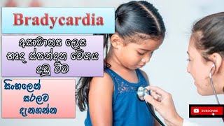 Bradycardia හෘදස්පන්දන වේගය අඩු වීම how it happens causes symptomstreatments sinhala prevent [upl. by Adaval]