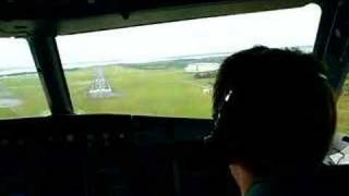 Airbus 319 A320 Landing Base Training [upl. by Weyermann]