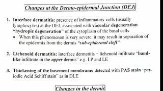 7 Histopathology 👉 interface dermatitis amp lichenoid dermatitis [upl. by Syst]