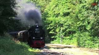 Dampf über dem Harz 23  die HSB  Dampfloks  Steam Trains [upl. by Egin]