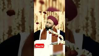 Peer Saqib Shamis bayan on Dr Zakir Naik Owais7861 shorts youtubeshorts saqibshaami zakirnaik [upl. by Akimal]