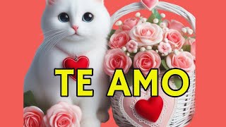 AMOR tengo algo que decirte ABRELO Mensaje de amor poema de amor para ti te amo [upl. by Chesna844]