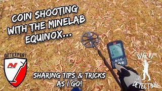 Minelab Equinox 800 Pro Tips You NEED To Know [upl. by Ahsimit]