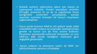 Mikrobiyoloji Lab 11Hafta  DNA İzolasyonu [upl. by Royd]