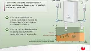 Caldera Thema Condens de Saunier Duval F25 F30 F AS 25 Climahorroes [upl. by Annetta]