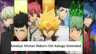 Katekyo Hitman Reborn Ost Kakugo Extended [upl. by Assyle]