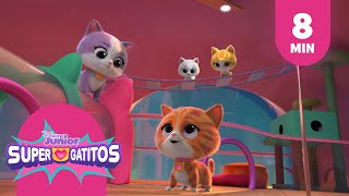 Supergatitos  Compilado Mejores Canciones [upl. by Nalyak]