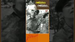 గాలిపటం గాలిపటంGalipatam Song  ANR Thodi Kodallu Movie Sankranthi Special Shorts Youtubeshorts [upl. by Sudoeht339]