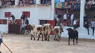 Villaverde del Guadalimar Primer encierro 2024 [upl. by Flori]