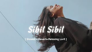 Sibil Sibil New Santhali Romantic Chillout Relaxing Lofi Video varattudu [upl. by Zampino197]