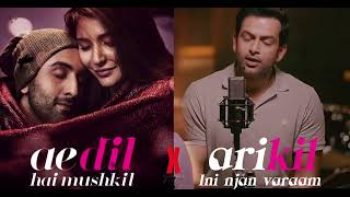 Ae dil hai mushkil X Arikil inj njan varaam [upl. by Burny229]