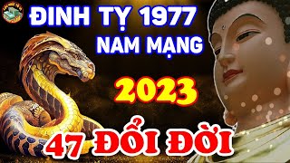 Hoá Giải Vận Hạn 2023 Đinh Tỵ 1977 Nam Mạng VẬN Số Mệnh Giàu Sang Tiền Tiêu 3 Đời Không Hết  LPTV [upl. by Ttehr]