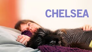 Chelsea  POLSKI LEKTOR  Darmowy Film Fabularny  Cały Film  Polish Voiceover  Dramat [upl. by Buckels562]