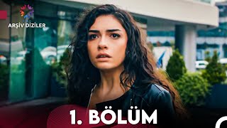 Hayat Sırları 1 Bölüm [upl. by Gerick]