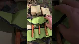 Wood Whittling Kit woodworking woodcarving whittling bushcraft inthewoods shortvideo shorts [upl. by Inhsor]