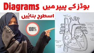 🤯 How to draw diagrams in the board Exam Board main Diagrams Kis Sy banaen   Umm e Aiman [upl. by Bank]