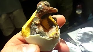 Eating Balut For The First Time [upl. by Tilla110]