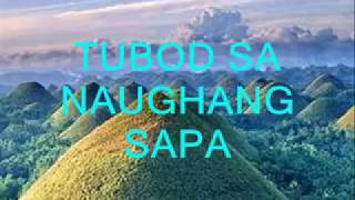 Tubod Sa Naughang Sapa Luz Loreto Classic amp Immortal Visayan Songs LPSamCagOmp4 [upl. by Arhoz590]