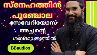 FR SEVERIOS snehathin poonjola സ്നേഹത്തിന്‍ പൂഞ്ചോല  BB AUDIOS REMIX severios achan song [upl. by Laubin474]