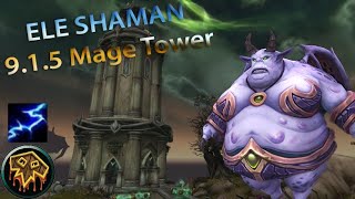 Elemental Shaman  915 Mage Tower [upl. by Delaryd]