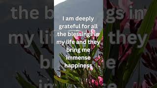 Abundance Mindset Affirmations to Reprogram Your Subconscious [upl. by Amend]