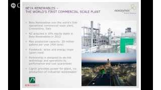 Novozymes Webinar From Biomass to Bioenergy [upl. by Ecneralc386]