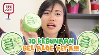 10 Kegunaan Gel Aloe Vera  TIPS NIHAO [upl. by Kerns433]