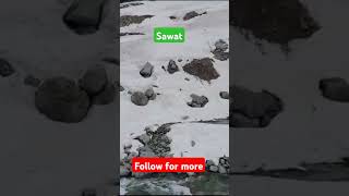 Sawat tour 202324 nature travel travelvlog trekking [upl. by Ordnasela]